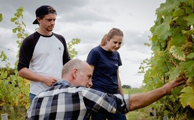 Plumpton College sees largest cohort of wine students ever!