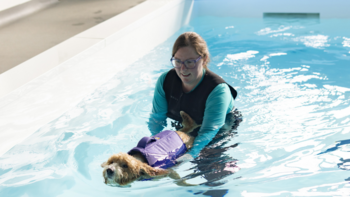 Level 4 Diploma in Canine Hydrotherapy