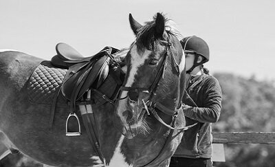 Horse Camp: Changing Lives Through Horses