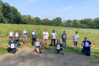 Plumpton College successfully launches its pilot ‘Entry into Viticulture’ retraining program
