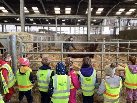 Lambing season has arrived!