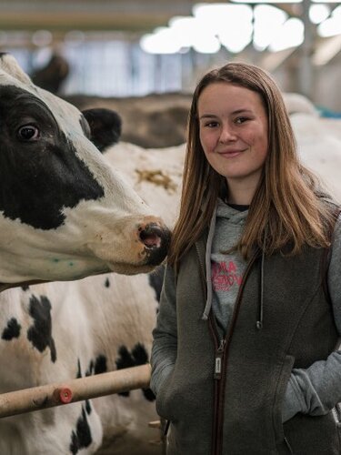 Young woman with cow