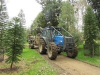 Forestry students branch out at Wakehurst