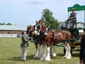 Kent Show