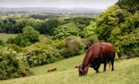 Agriculture students enjoy the practical aspects of their courses as the weather improves