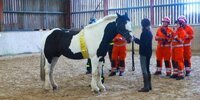 Plumpton College teaches Merseyside firemen about rescue of large animals
