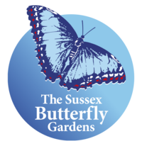 New Butterfly Gardens Open at One Garden Brighton