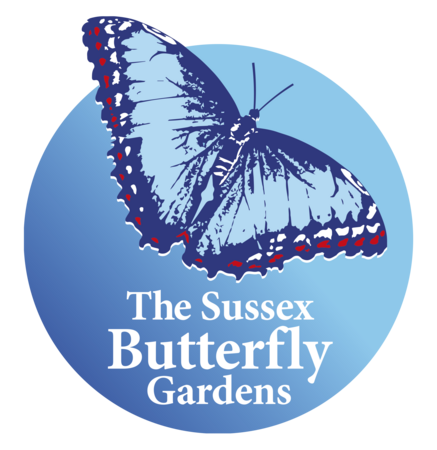 New Butterfly Gardens Open at One Garden Brighton