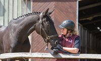 Equine team approved to deliver new programme