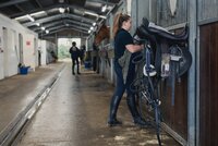 Horse Care