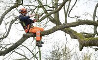 Forestry & Arboriculture