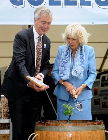 Official 'millionth' vine in UK planted