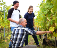 Rapidly Expanding Wine Industry - Need for Wine Apprenticeships