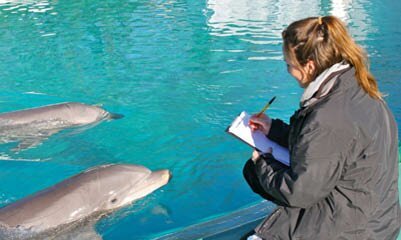 A Busy Term For Animal Behaviour Students