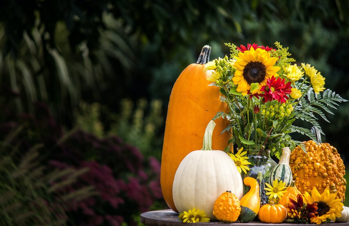 Image Of floral pumpkin arrangement.