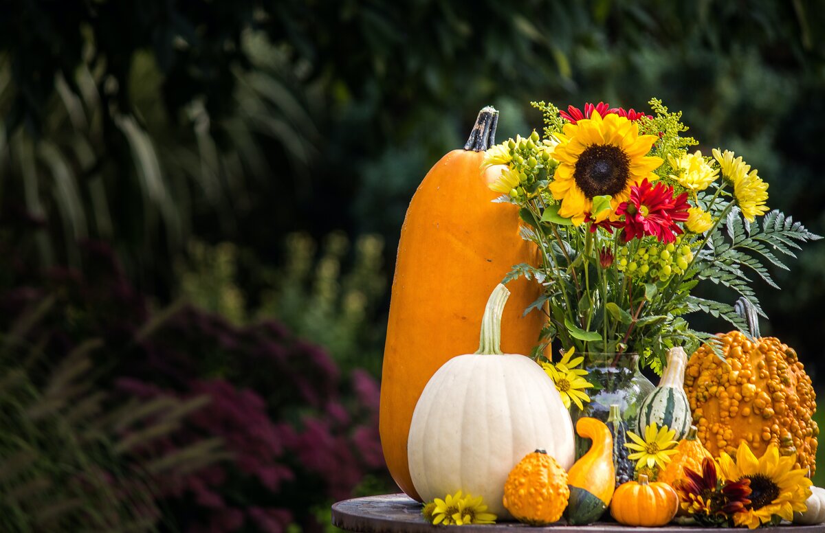 Autumn Pumpkin Image Of floral pumpkin arrangement.