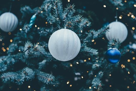 Christmas Fair & Carol Concert