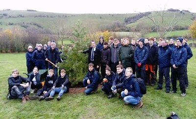 National Tree Week 2017