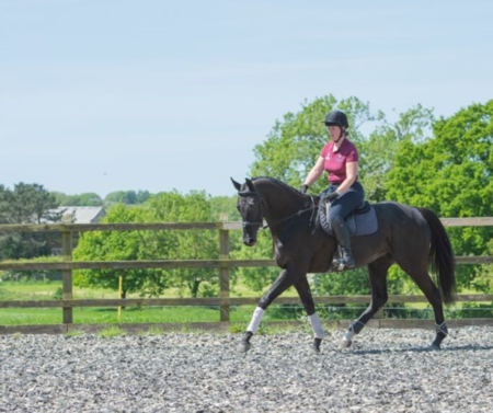 Meet Bethan Stacey - Equine Programme Manager