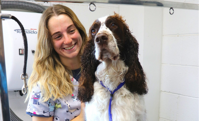 Start your dog grooming career with our Level 1, 2 and 3 courses