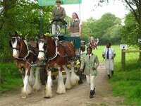 Plumpton College shire horses have their debut being driven as a pair