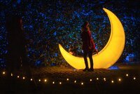 Brighton Lights comes to One Garden Brighton for December festivities