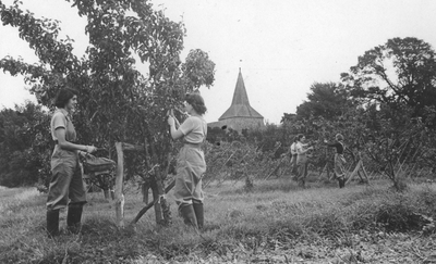 Looking back at Remembrance Day history