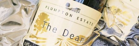 High Praise for Plumpton Sparkling Wine