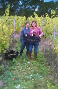 Deputy Leader joins Principal and students in grape harvest