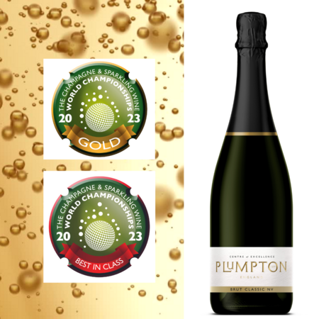 Plumpton Estate Wine Wins Gold and Best in Class: English Brut NV At This Year's Championships