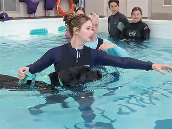Level 4 Diploma in Canine Hydrotherapy
