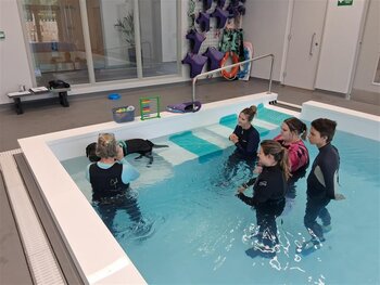 Level 4 Diploma in Canine Hydrotherapy