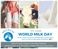 Raise a 'virtual' glass to our Dairy farmers on World Milk Day