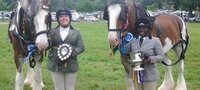 Students and shire horses have a successful show at Cranleigh