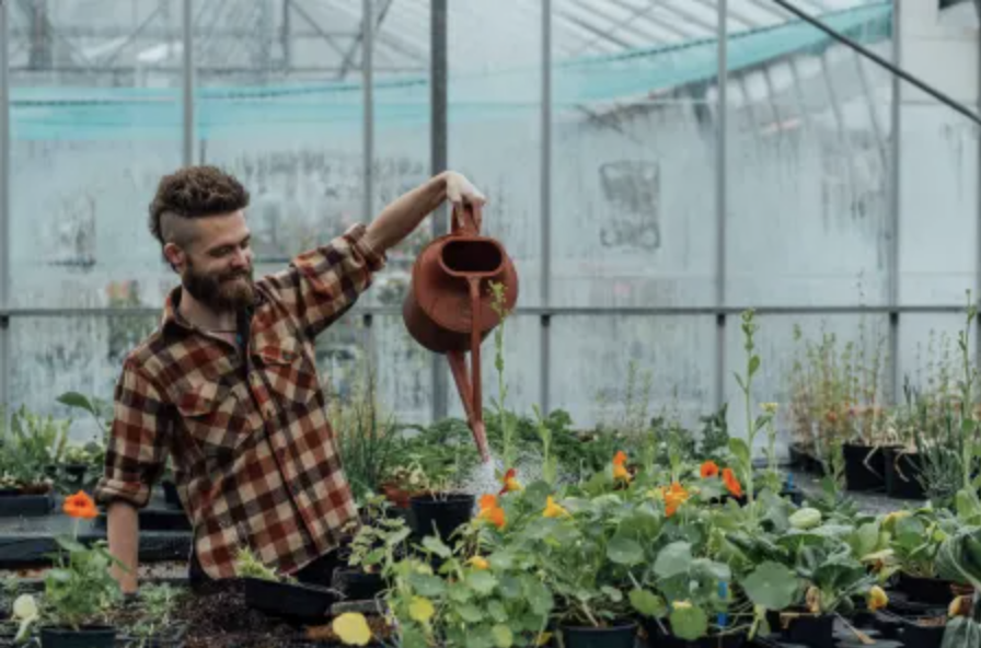 Horticulture Student Horticulture Student at Plumpton
