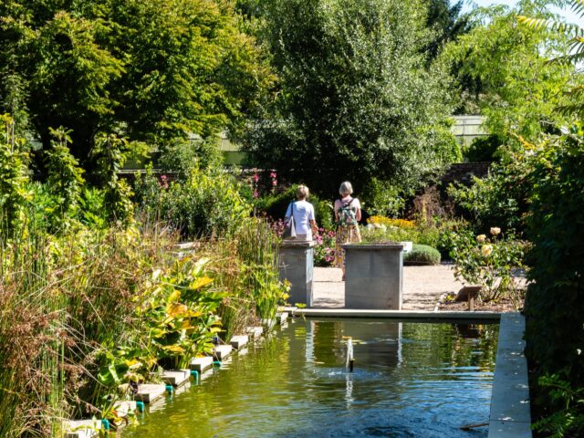 One Garden Brighton announced as RHS Partner Garden